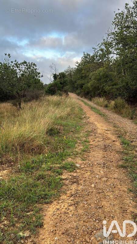 Photo 7 - Terrain à LA PALME