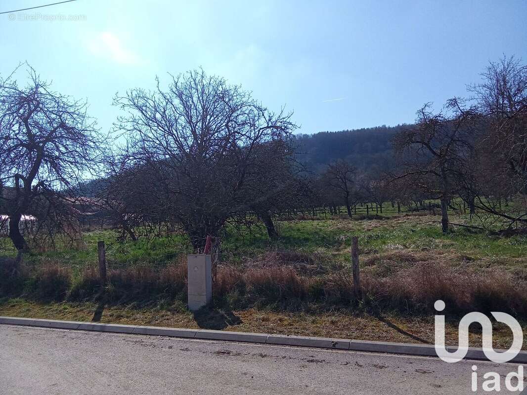 Photo 2 - Terrain à COMMERCY