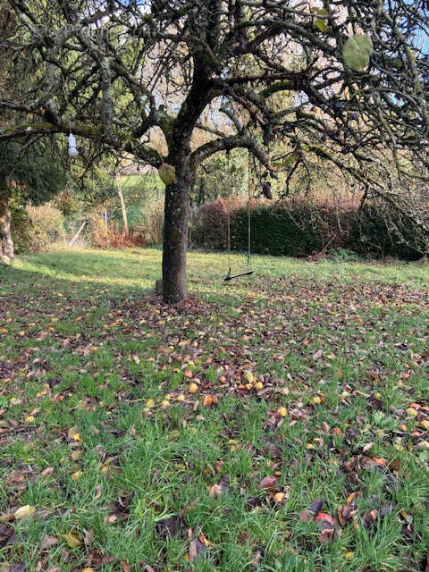 Maison à CHENEDOLLE