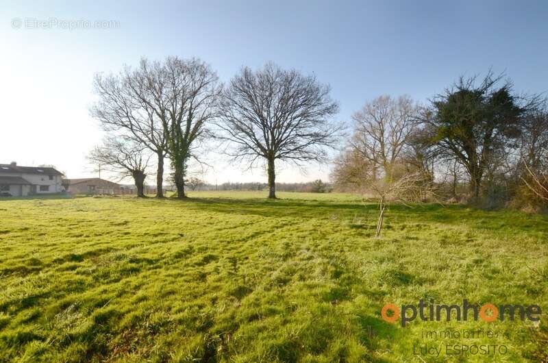 Maison à MAUPREVOIR