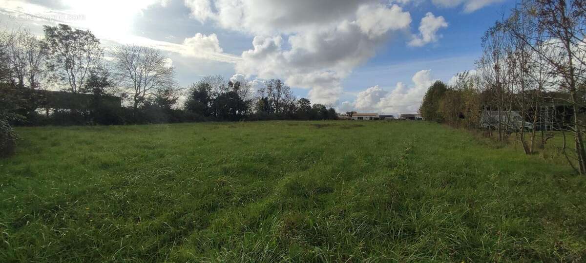 Terrain 7211 m² à Genouille  - photo 3