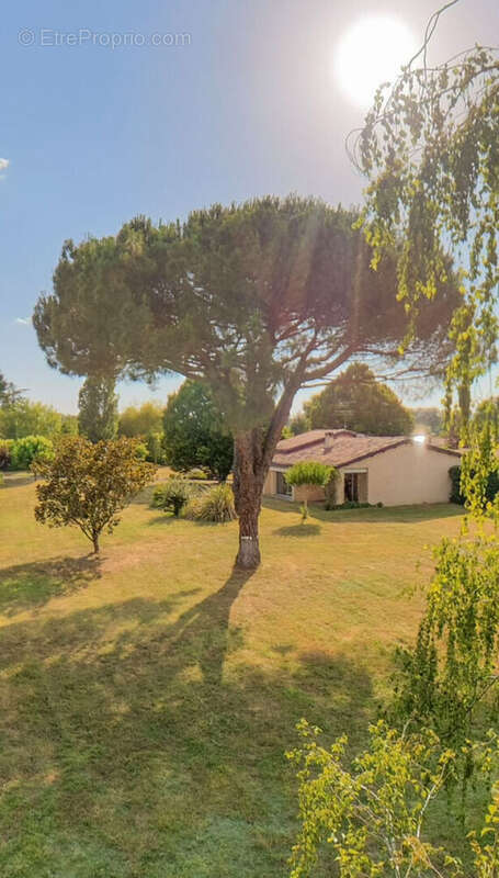 Maison à GAILLAC