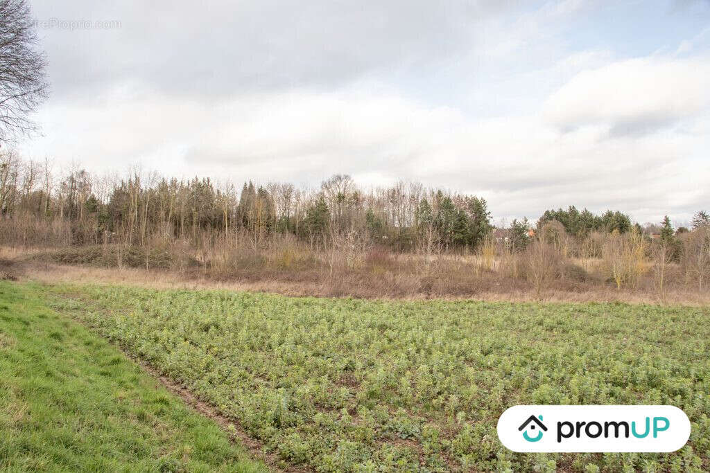 Terrain à SOREL-EN-VIMEU