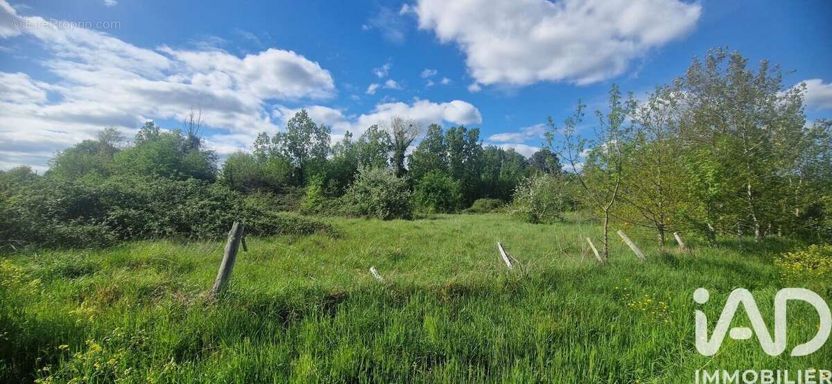 Photo 4 - Terrain à SAINT-LAURENT-DES-HOMMES