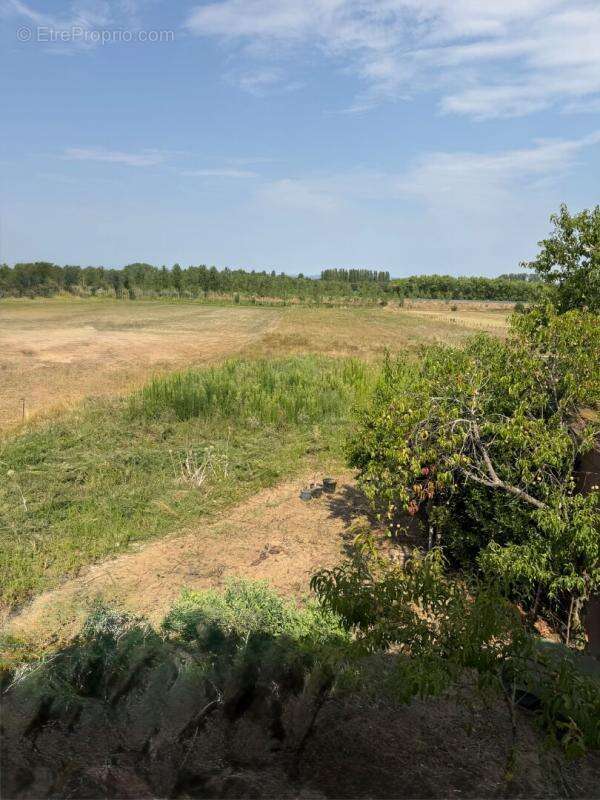 Terre agricole en champs en pré  bois et taillis à Sagy Bruailles Frangy en Bresse  et Sens sur Seille - photo 3