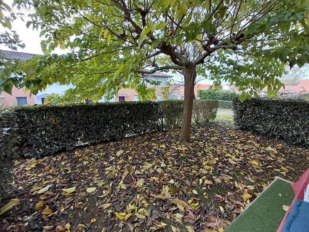 Appartement à AUTERIVE