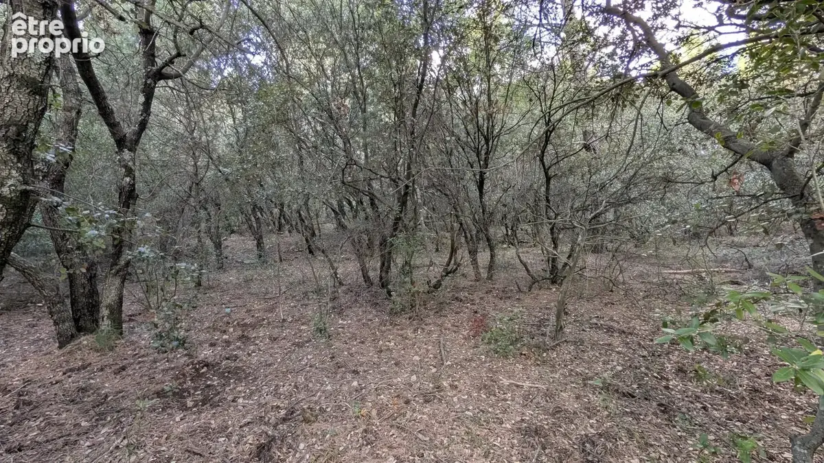 SALERNES : Terrain non constructible 20.618m² - photo 4