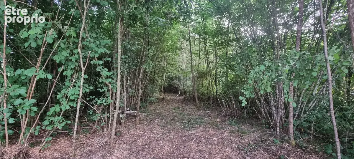 Terrain constructible dans un domaine boisé de La-Selle-en-Hermoy (45210) - photo 3
