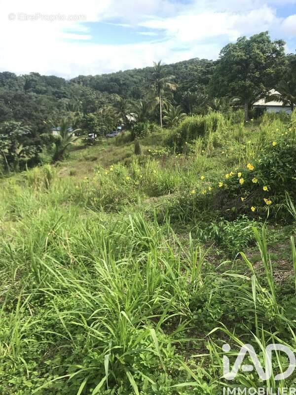 Photo 2 - Terrain à SAINTE-ROSE