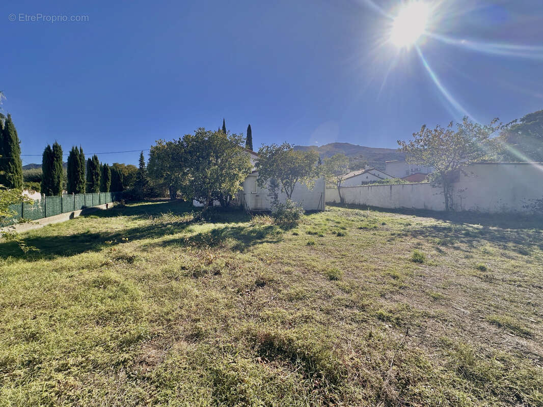 Terrain à LAROQUE-DES-ALBERES