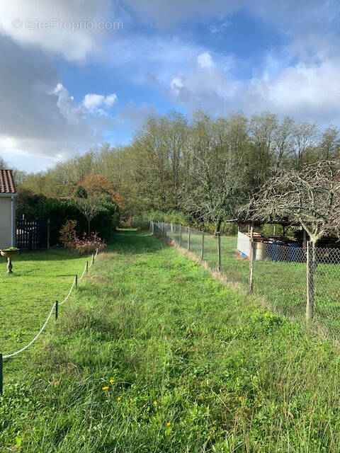 Terrain à SAINT-THOMAS-DE-CONAC