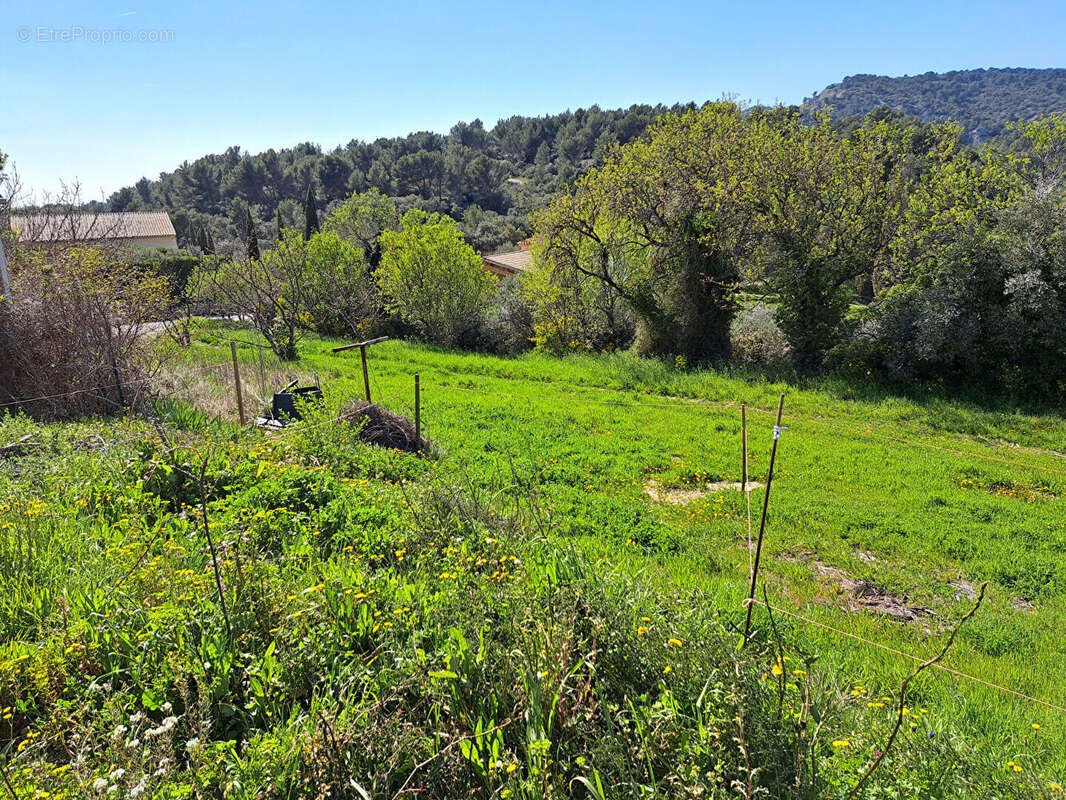 Terrain à LE BARROUX