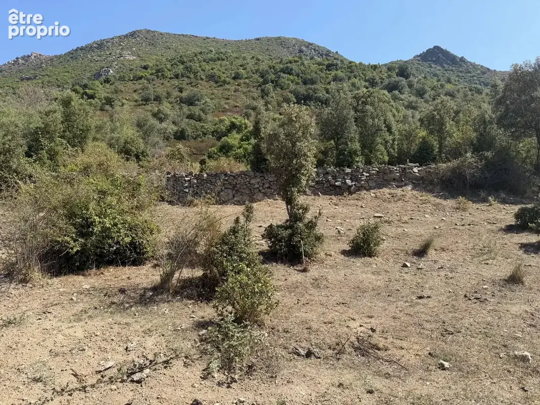 Lotissement de 9 lots – magnifique vue canavaggia (3 min de ponteleccia) - photo 3