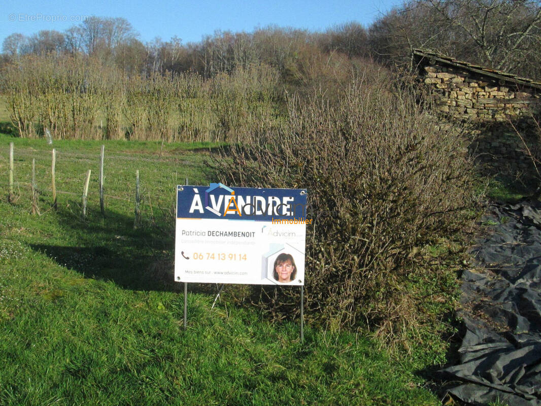 Terrain à AILLEVILLERS-ET-LYAUMONT