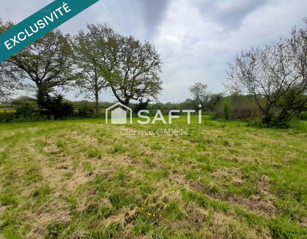 Photo 3 - Terrain à CHAZE-HENRY