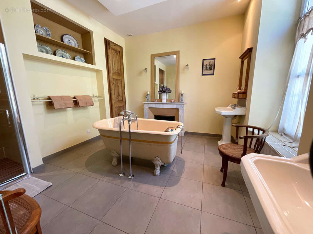 Ensemble immobilier avec Maison de maître, gîte, maison de gardien, piscine et jacuzzi - photo 15