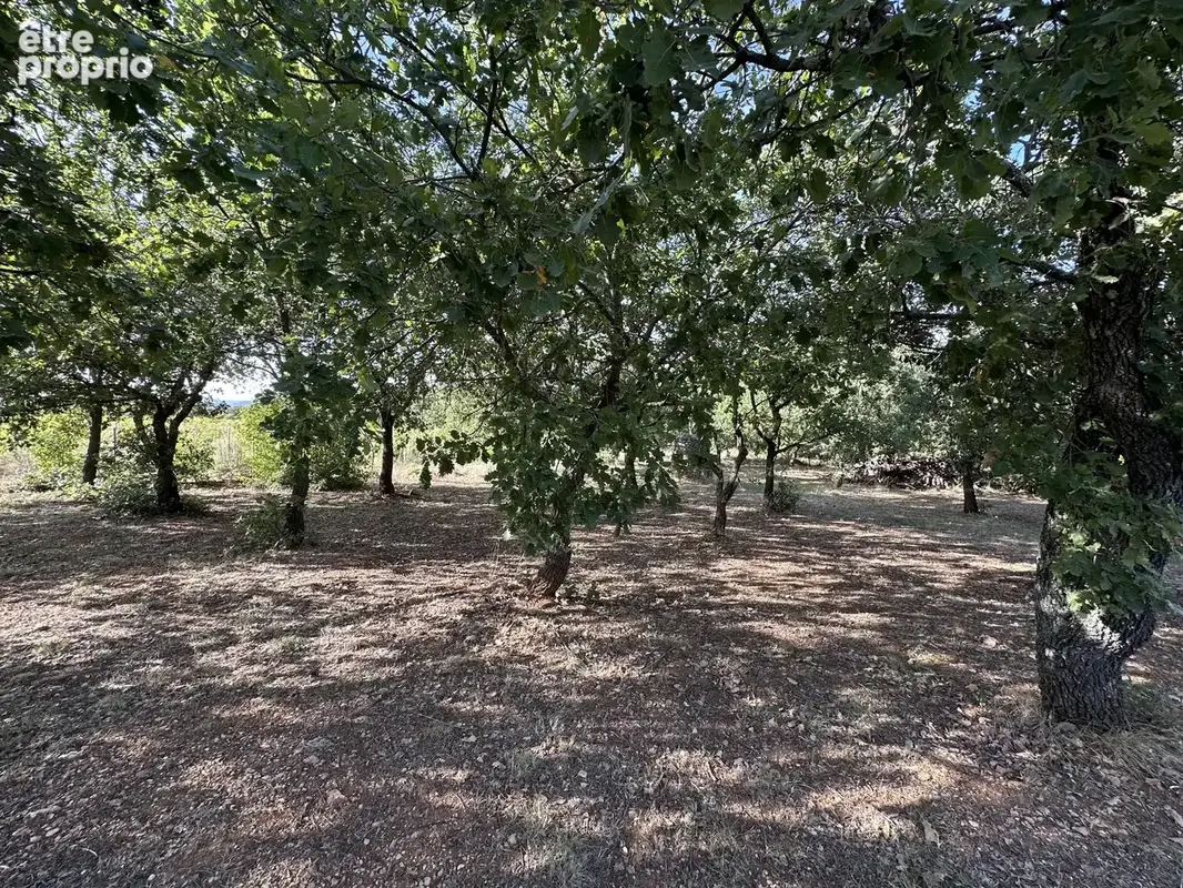 Mas au coeur du Luberon - photo 15