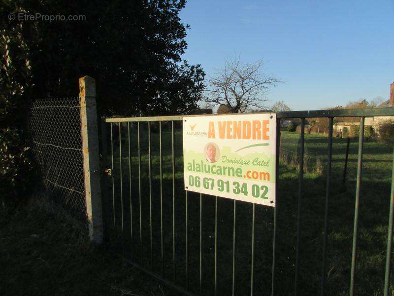 Terrain à MESNIL-SUR-L&#039;ESTREE