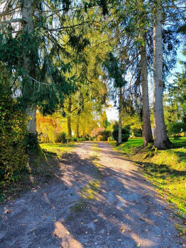 Photo 2 - Maison à RIGNOVELLE