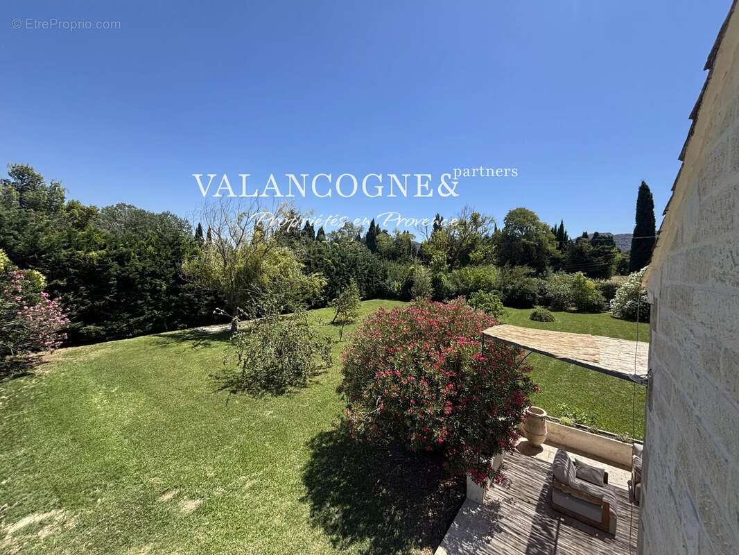 Mas provencal -  saint remy de provence - photo 15