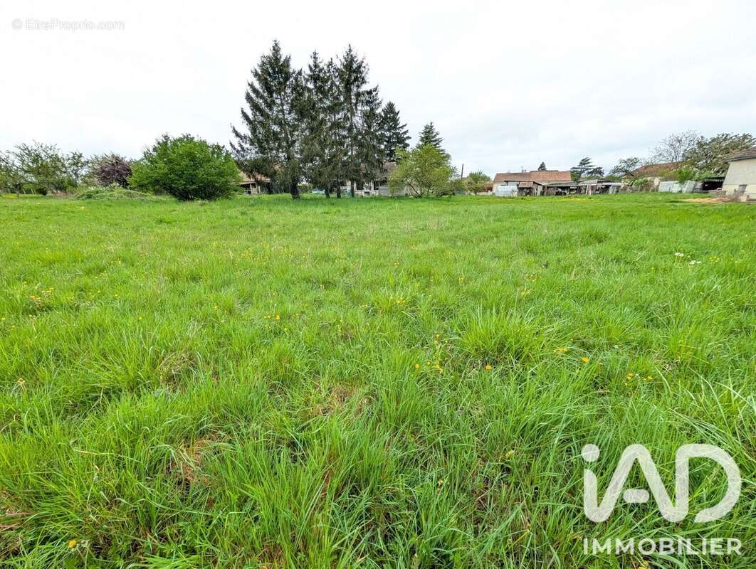 Terrain 4024 m² à Lussac-Les-Chateaux  - photo 6