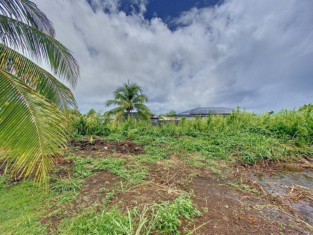 Terrain à CAPESTERRE-BELLE-EAU