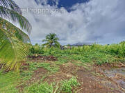 Terrain à CAPESTERRE-BELLE-EAU