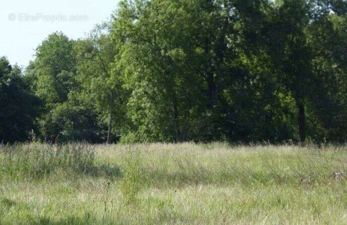Terrain à VILLEVAUDE