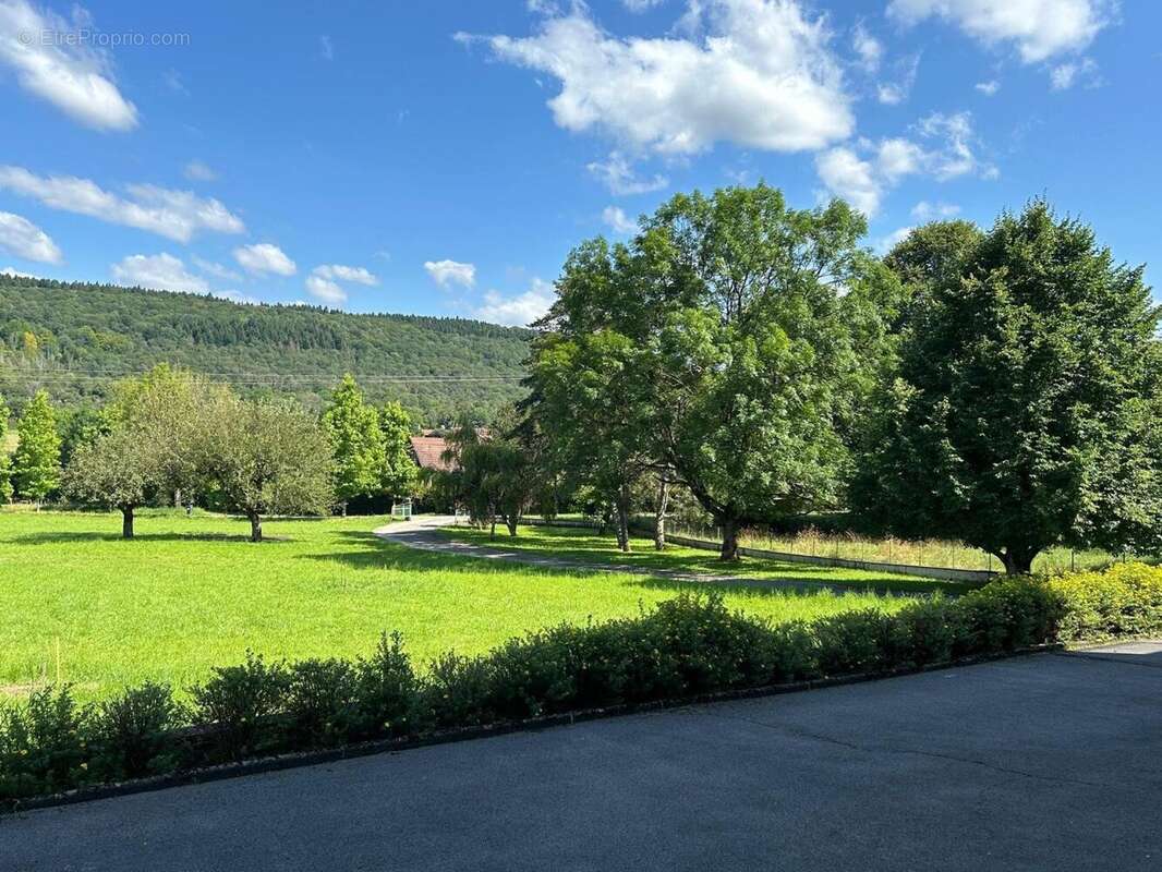 Photo 4 - Maison à SALINS-LES-BAINS