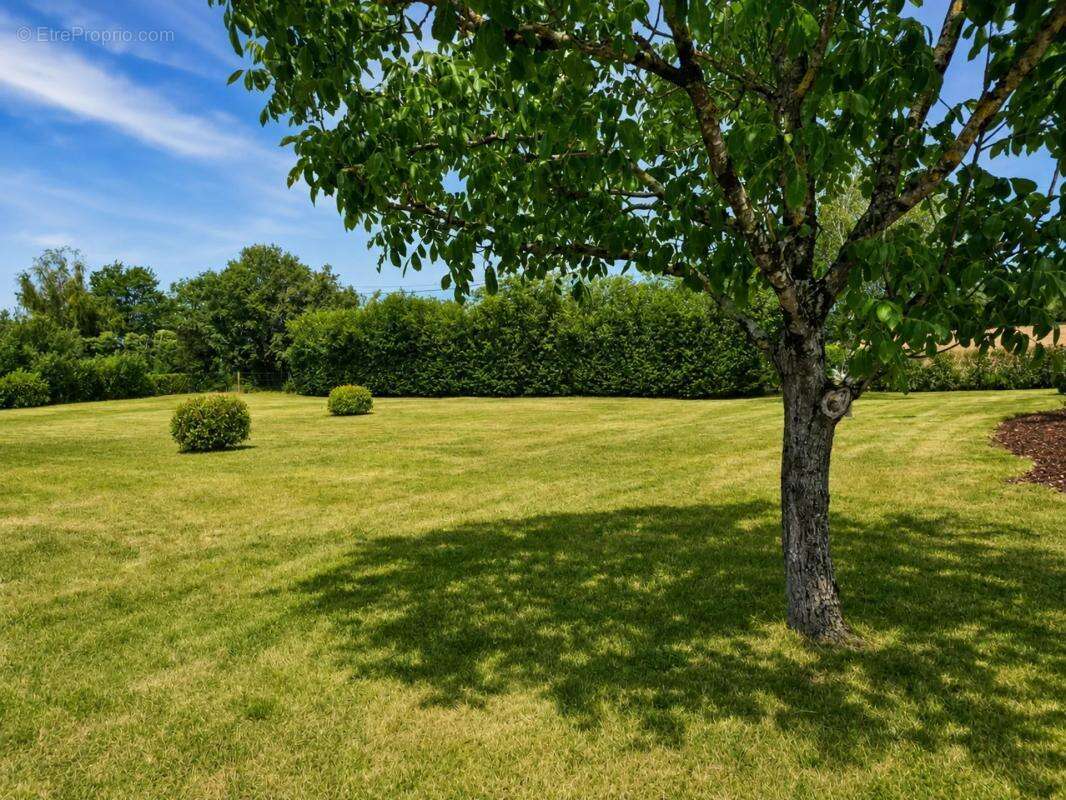 Maison de 5 pièces de 143 m² à Chevannes-Changy - photo 32