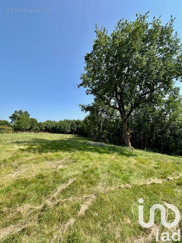 Photo 4 - Terrain à GAILLAC