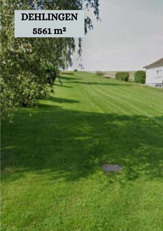 Terrain à ROHRBACH-LES-BITCHE