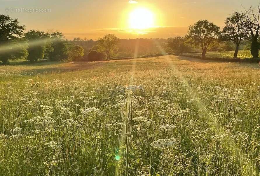 Maison à BEAUNE-D&#039;ALLIER
