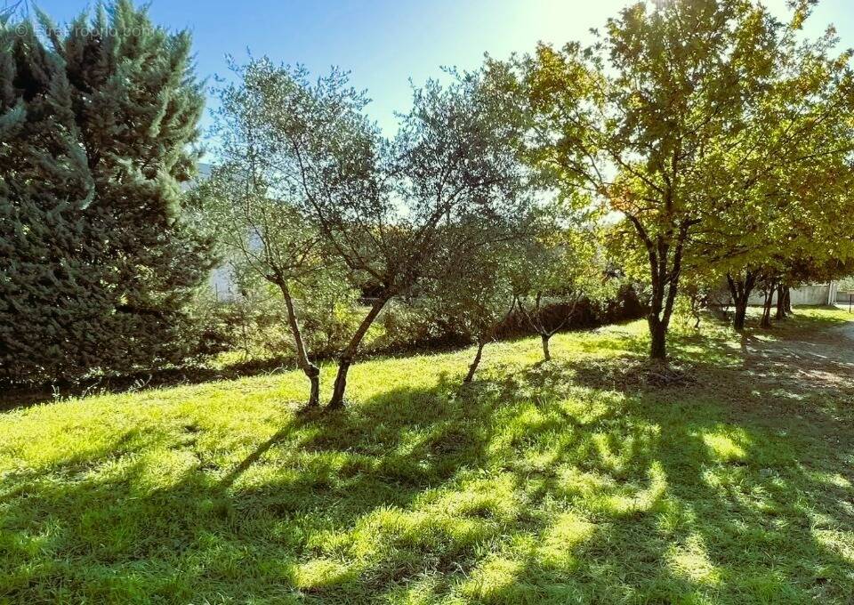 Terrain à BRIGNOLES