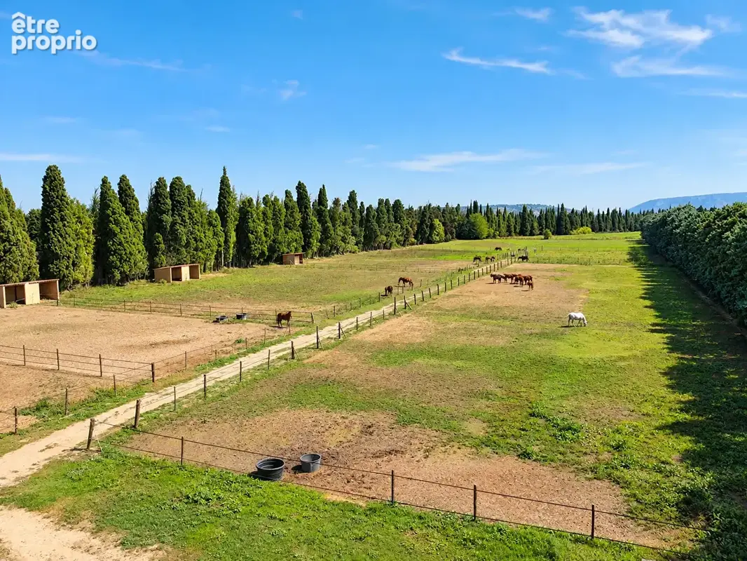 Domaine d'exception de 11,5 hectares .Un futur resort équestre au coeur des Alpilles - photo 15
