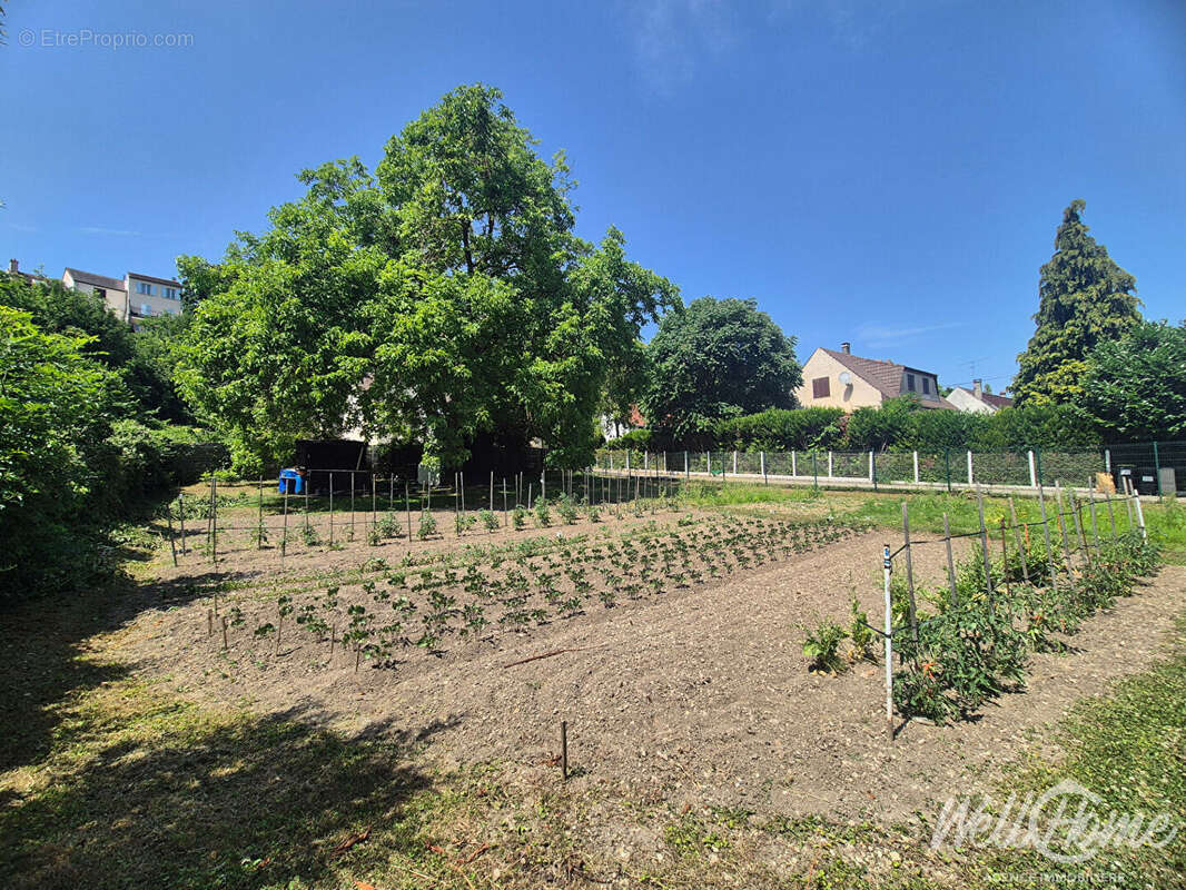 Terrain Pontoise 921 m2 - photo 3