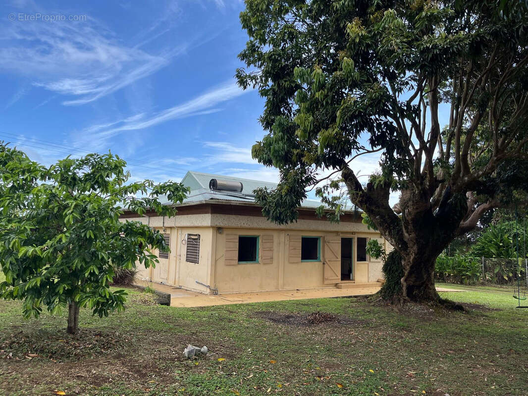 Maison à CAPESTERRE-BELLE-EAU