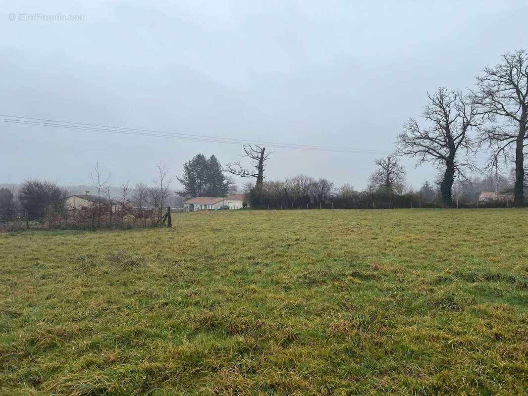 Terrain à ANSAC-SUR-VIENNE