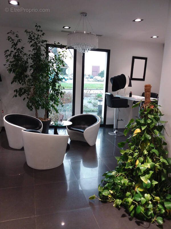 Commerce à SABLE-SUR-SARTHE