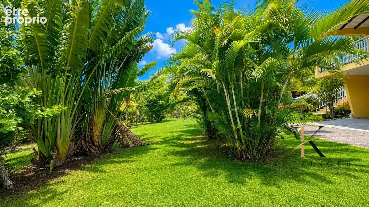 Jardin
