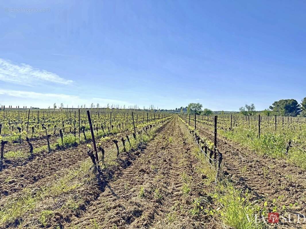 Maison à PUISSERGUIER