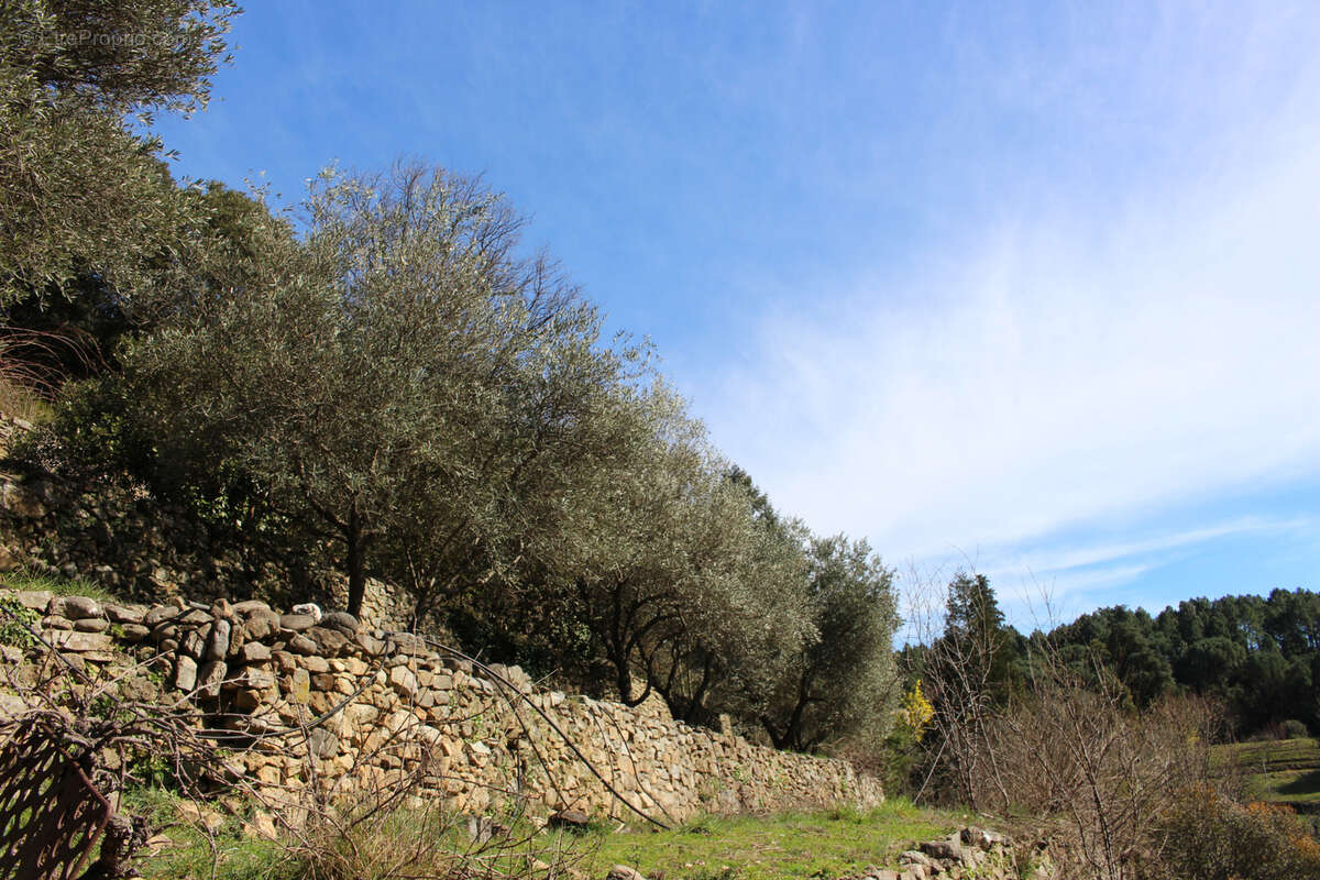 Maison à SAINT-JEAN-DU-GARD
