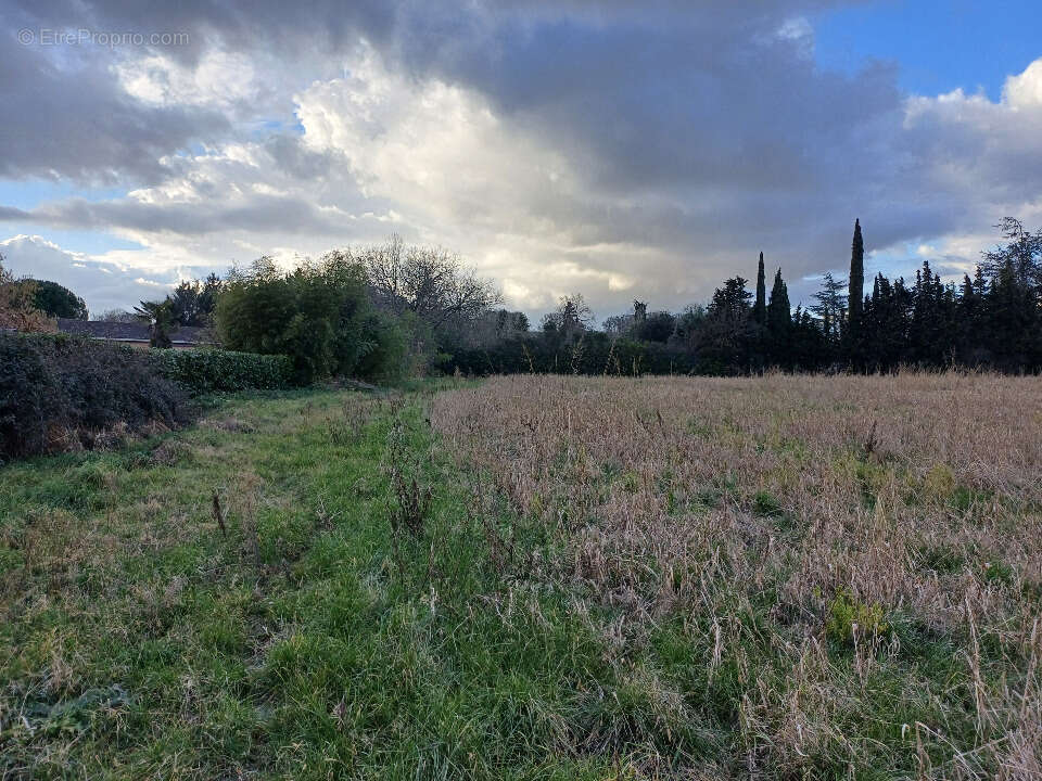 Terrain à LES ISSARDS