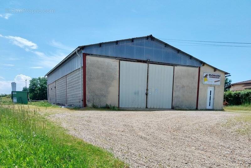 Commerce à MONSEGUR