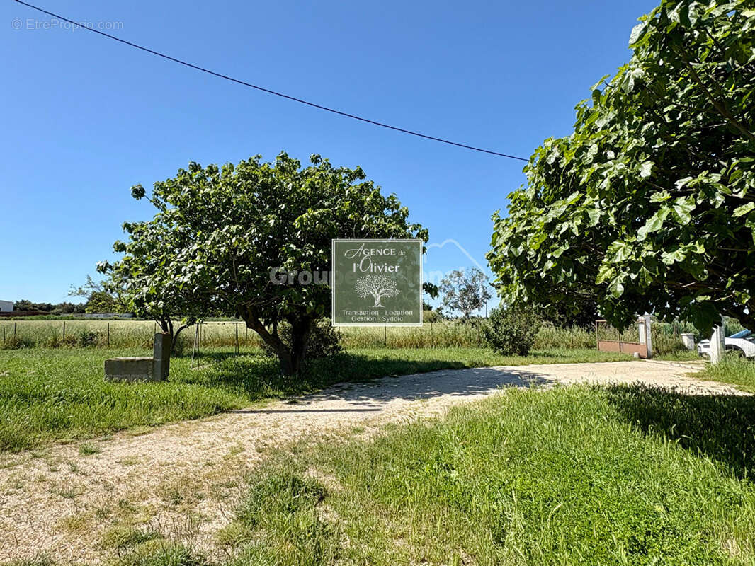 ARLES. Mas avec dépendances. - photo 4
