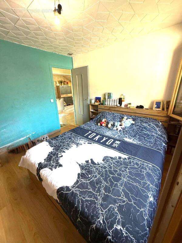 Appartement PASSY 87 M2 loi carrez, 111M2 superficie totale  , 5 pièces 276000 euros - photo 8
