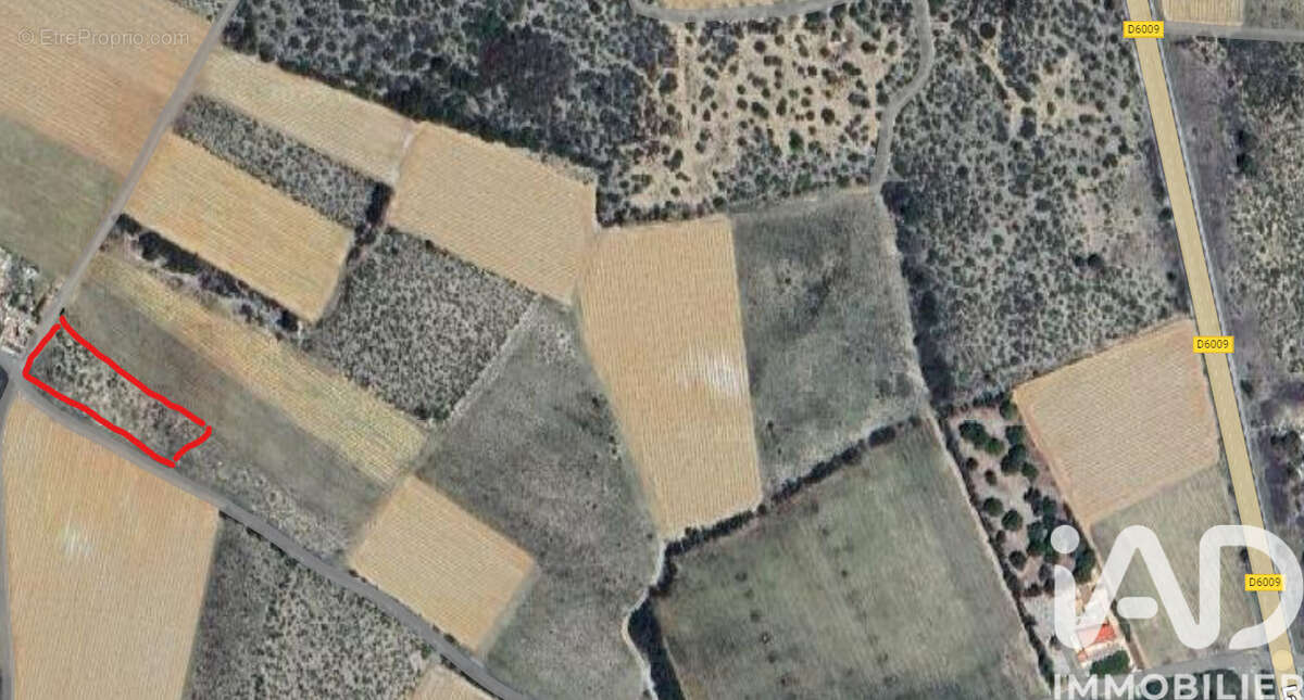 Photo 2 - Terrain à LA PALME