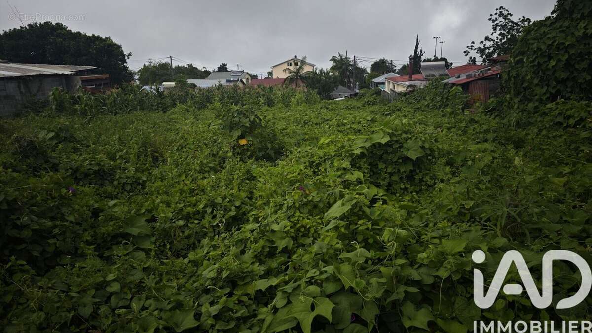Photo 3 - Terrain à LE TAMPON