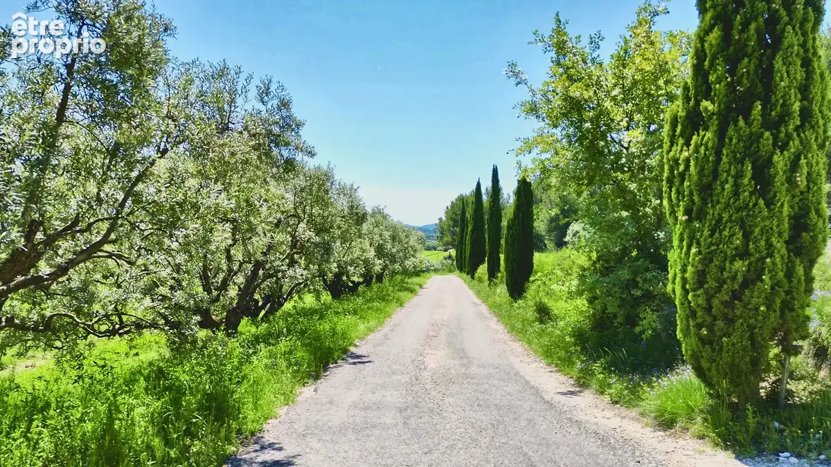 Ventoux   Domaine viticole de renom sur 18 ha - intimiste et vue dominante - photo 21