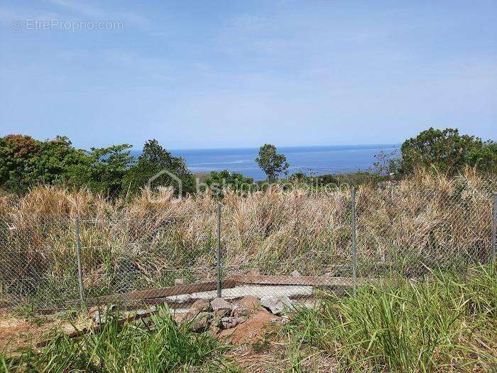 Terrain à VIEUX-HABITANTS